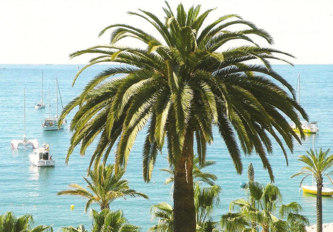 Studio Climatise. Proche Parking, Commerces Et Mer Daire Carqueiranne Dış mekan fotoğraf